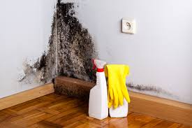 Mold Odor Removal Services in Mcdade, TX